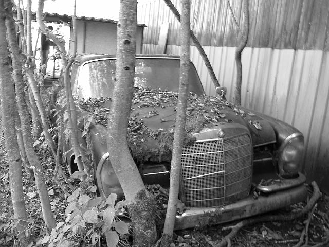 Autofriedhof - 002.JPG - Historischer Autofriedhof,    Gürbetal (CH)